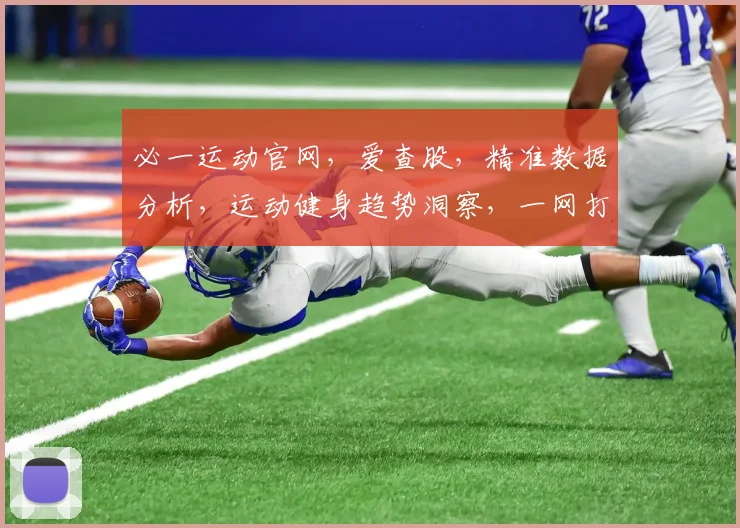 必一运动官网，爱查股，精准数据分析，运动健身趋势洞察，一网打尽