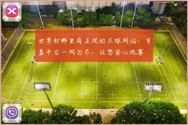 世界杯哪里有正规的买球网站，可靠平台一网打尽，让您安心观赛
