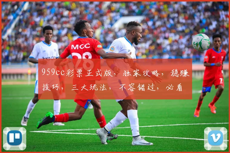 959cc彩票正式版，独家攻略，稳赚技巧，三大玩法，不容错过，必看