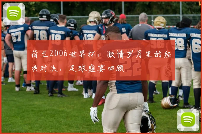 荷兰2006世界杯，激情岁月里的经典对决，足球盛宴回顾